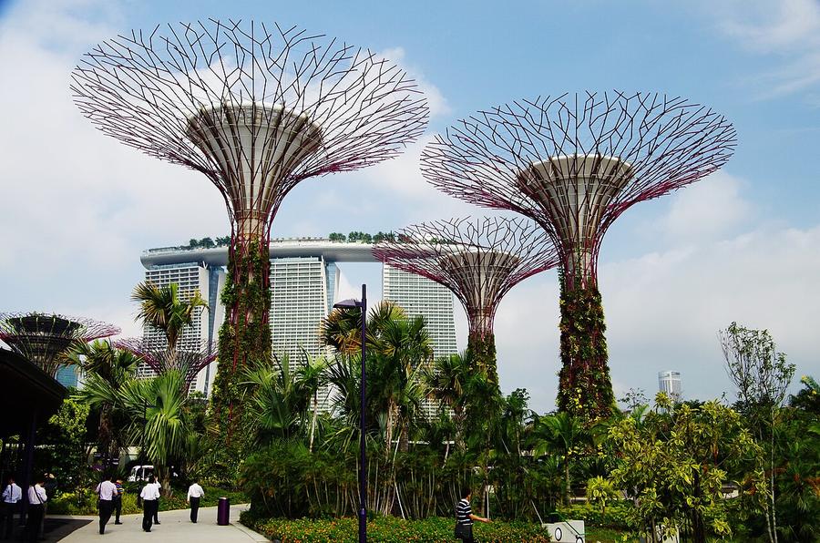 新加坡花穹超级树丛 Gardens by the Bay Supertree Grove Singapore